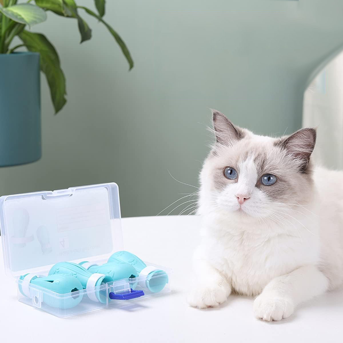 کفش ایمنی گربه